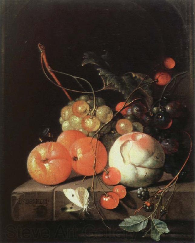 Jan Davidz de Heem still life of fruit Spain oil painting art
